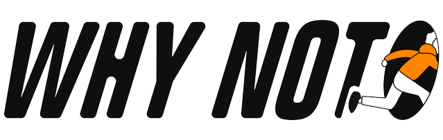 WHY NOT Logo